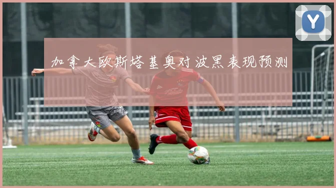 加拿大欧斯塔基奥对波黑表现预测