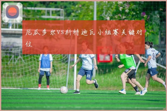 厄瓜多尔vs科特迪瓦小组赛关键对位